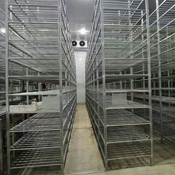 不銹鋼管材支架